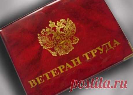 Ветеранов военной службы приравняли к ветеранам труда с одинаковыми мерами социальной поддержки