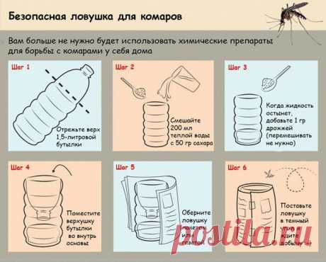 ВСЕ ДЛЯ ДОМА И ДАЧИ: Безопасная ловушка для комаров своими руками