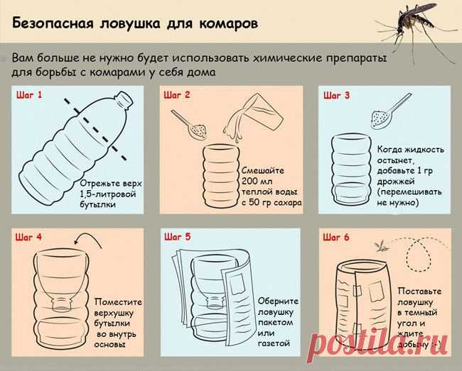 ВСЕ ДЛЯ ДОМА И ДАЧИ: Безопасная ловушка для комаров своими руками
