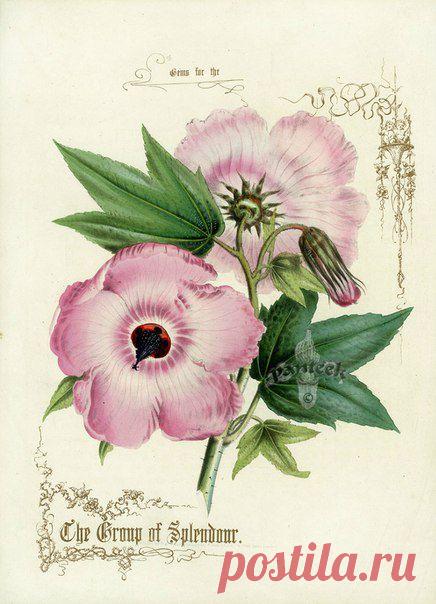 Картинки для творчества | 1 772 фотографии | ВКонтакте