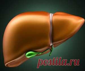 6 изменений в рационе, которые очистят печень от токсинов - health info