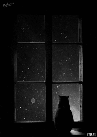 Гифка — «Кот у окна»