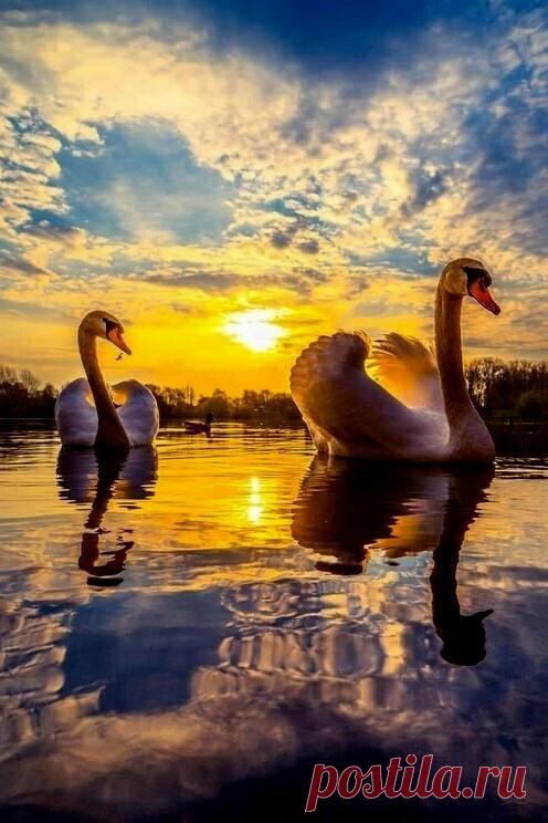 Храни Господь, столь хрупкий мир,
Храни от бед и от несчастий..
Не дай теплу любви угаснуть,
И повторяй священный миг..
Когда вчера уже ушло,
А завтра нет, не наступило..
Дай нам терпения и силы
В тот краткий миг творить добро..
Ценить везение и боль
И вдох ценить и выдох тоже,
Ценить все дни, что не похожи
И трепет жизни... ее соль..
Храни Господь уют души,
Биение сердца, чувств смятение..
Храни те чудные мгновения,
Что жизнь дает в земной тиши..

Людмила Щерблюк