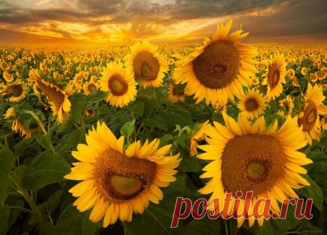 Мой Мир@Mail.Ru