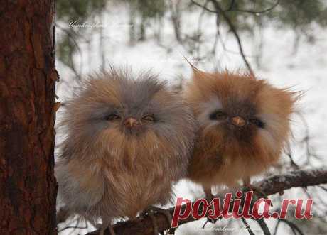 Для самой прекрасной половины!! Женщины, девушки, мамы в декрете и домохозяйки, если вам надоело считать каждую копейку и ждать зарплату мужа, а хочется баловать себя и своих деток всю оставшуюся жизнь, то я вам раскрою все секреты, как я с маленькими детками зарабатываю только в интернете, пару часов в день!!Подробности у меня на сайте https://dohod-ne-vyhody-iz-doma.blogspot.com/ ПРИСОЕДИНЯЙТЕСЬ!Давайте вместе становиться Финансово Независимыми!