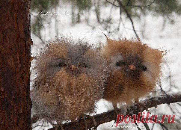 Для самой прекрасной половины!! Женщины, девушки, мамы в декрете и домохозяйки, если вам надоело считать каждую копейку и ждать зарплату мужа, а хочется баловать себя и своих деток всю оставшуюся жизнь, то я вам раскрою все секреты, как я с маленькими детками зарабатываю только в интернете, пару часов в день!!Подробности у меня на сайте http://dohod-ne-vyhody-iz-doma.blogspot.com/ ПРИСОЕДИНЯЙТЕСЬ!Давайте вместе становиться Финансово Независимыми!