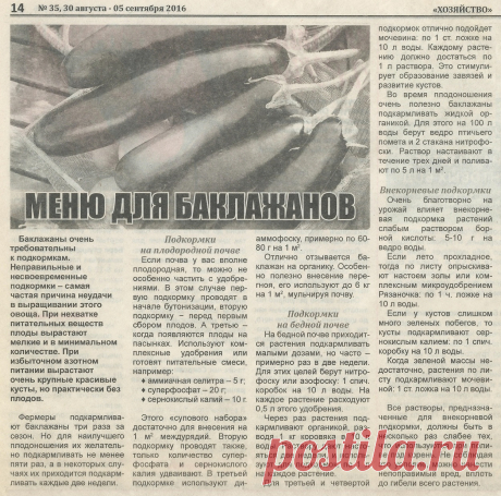 Меню для баклажанов