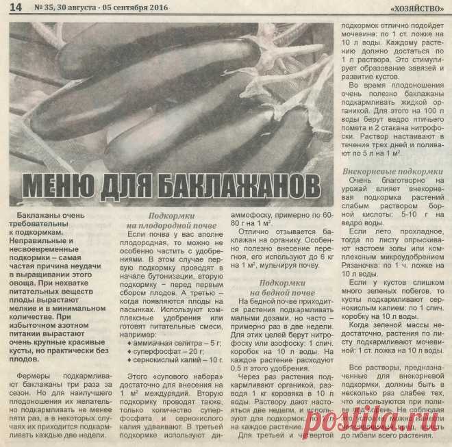 Меню для баклажанов