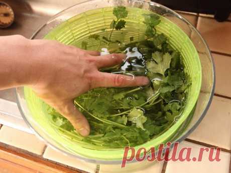 5 советов по готовке и хранению продуктов, чтобы не приходилось выбрасывать еду в мусорное ведро