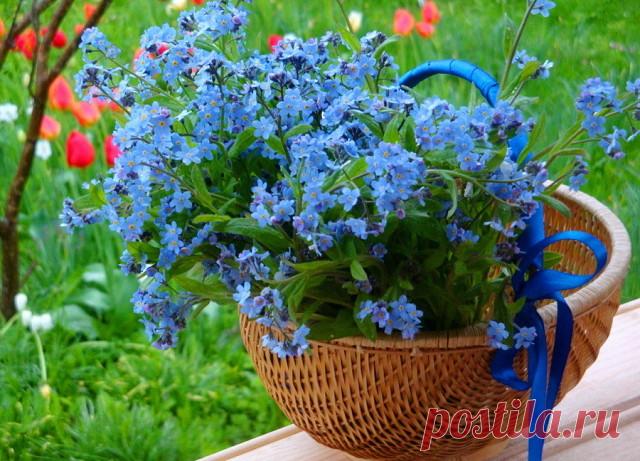 Понравилось).