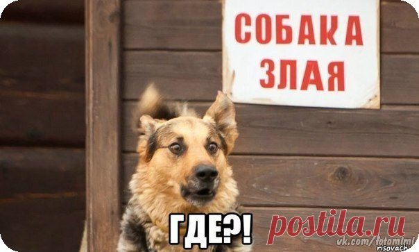Людмила Пархоменко