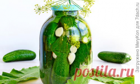 Огурцы "Хмельные" из серии "Мужское меню"