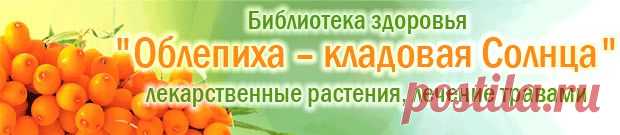 Шампиньоны