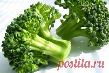 Как посадить и вырастить брокколи на даче в открытом грунте
Как посадить и вырастить брокколи на даче в открытом грунте
Брокколи - подвид огородной капусты, который образует не вилок, а головку из бутонов. В последние годы среди капустных культур брокколи с…