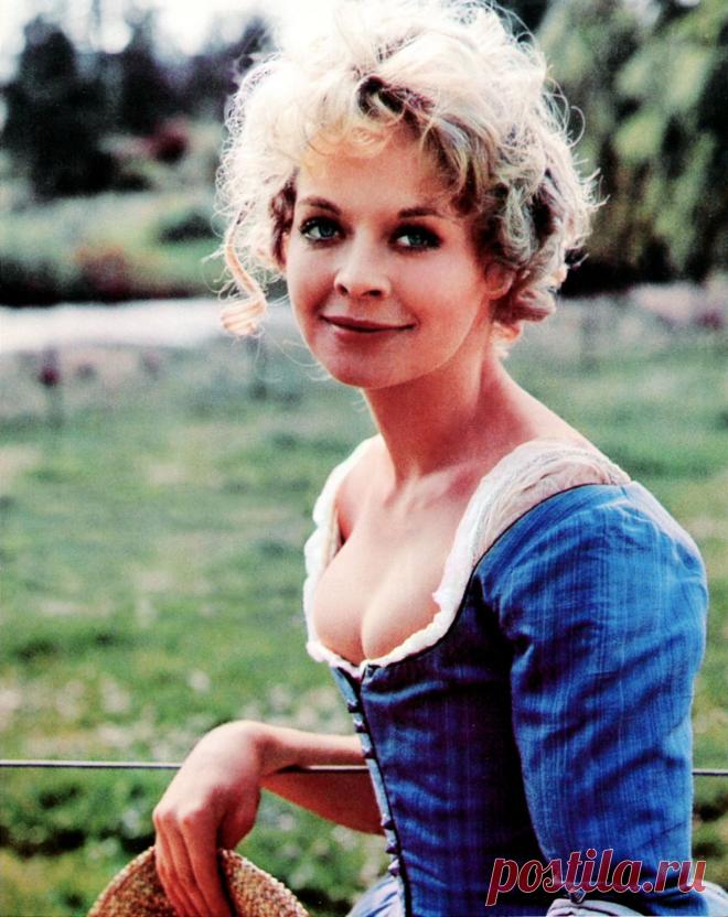 Сюзанна Йорк, 9 января, 1939
 • 15 января 2011