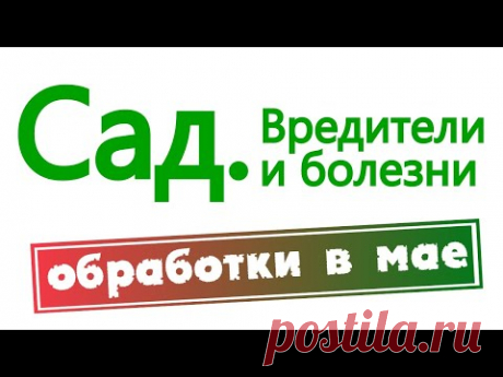 Сад. Болезни и вредители. Обработки в мае.