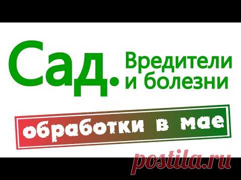 Сад. Болезни и вредители. Обработки в мае.