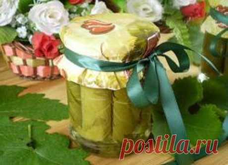 ЗАГОТОВКА ВИНОГРАДНЫХ ЛИСТЬЕВ НА ЗИМУ ДЛЯ ДОЛМЫ — Вкусные рецепты