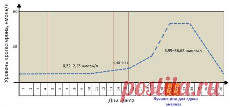 Прогестерон – коли здавати (на який день циклу)? | Як лікувати