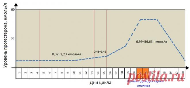 Прогестерон – коли здавати (на який день циклу)? | Як лікувати