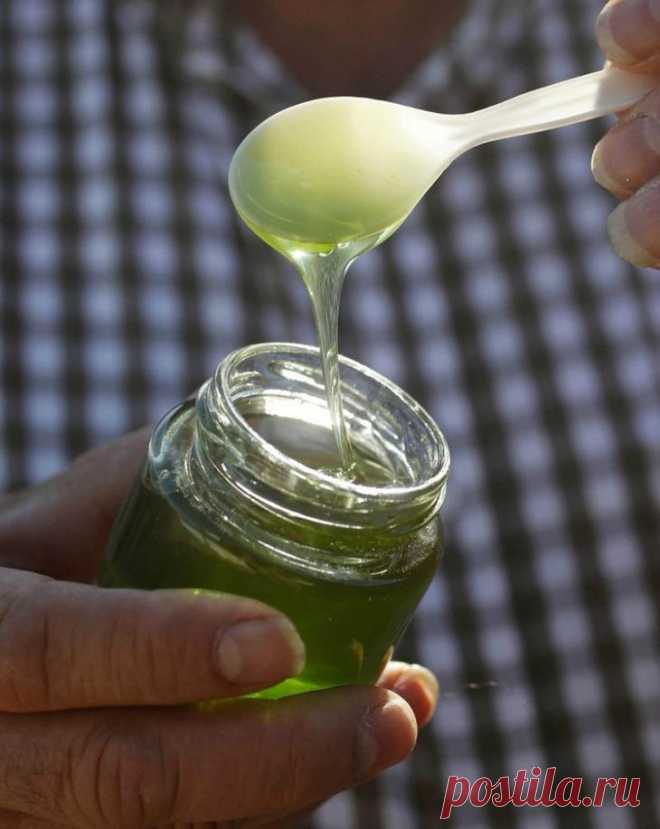 Целительное средство от ста болезней



Некоторые продукты оказывают разносторонний целительный эффект на организм. Например, алоэ вера, мед и лимон. Они отличаются уникальным химическим составом. Вот как можно приготовить универсальное лечебное средство из этих трех ингредиентов. Народная медицина — рецепты, советы, способы, cекреты и народные средства.