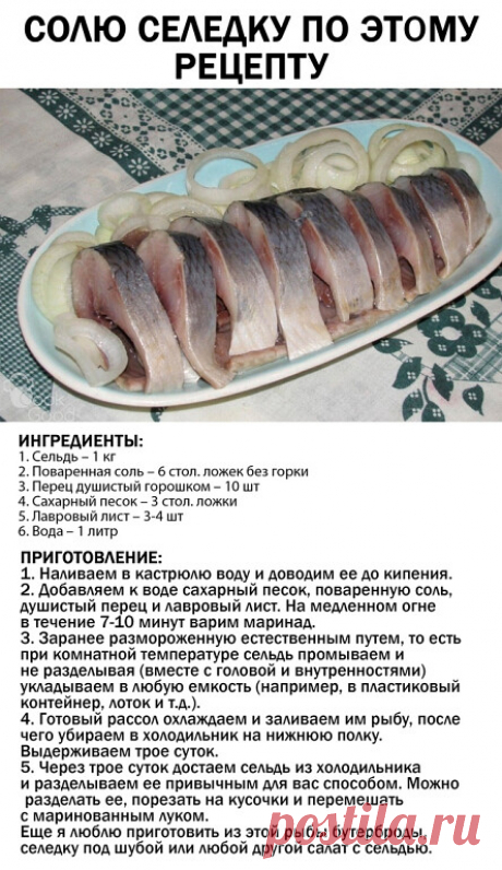 рыба