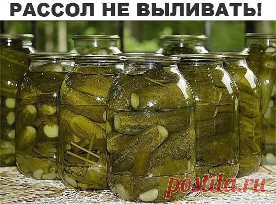 Готовим из рассола