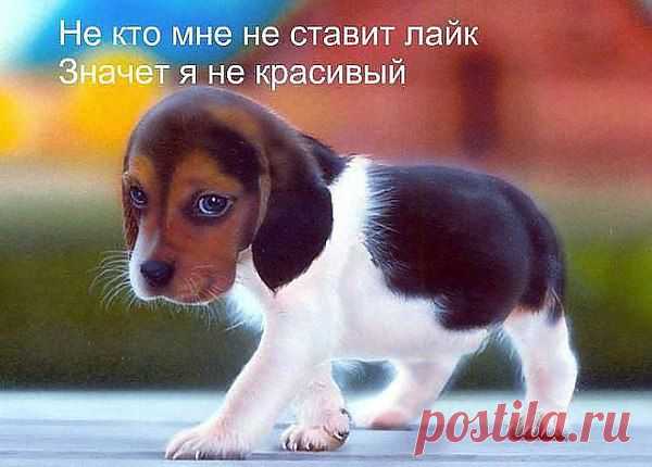 Олег: Воспитаите в себе одну хорошую черту характера.Никогда не выясняите отношении с людьми,которые вас разочаровали.Просто молча оставьте их вместе со всем их дерьмом наедине.