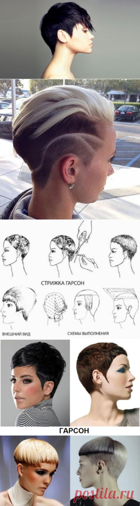Стрижка гарсон на короткие волосы фото 2016 вид спереди и сзади