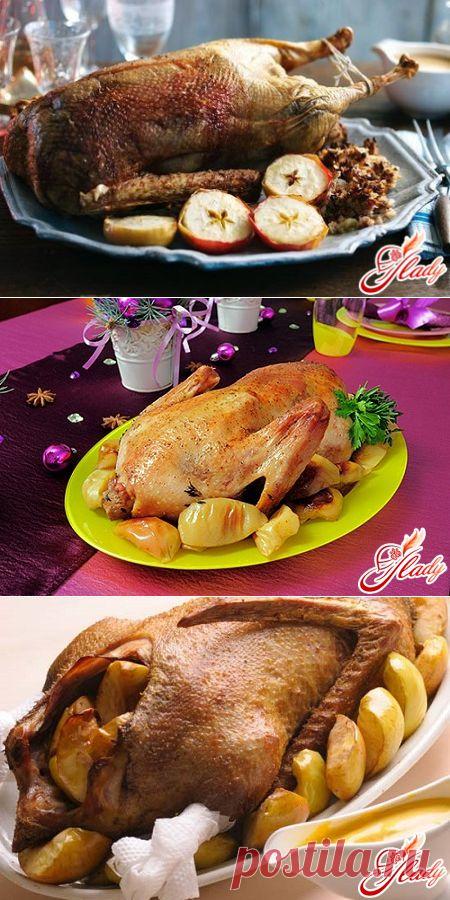 Как приготовить гуся с яблоками: рецепты