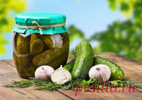 15 лучших рецептов огурцов на зиму.