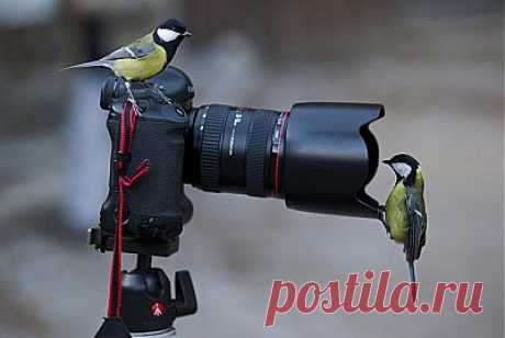 10 советов для фотосессии - ЖУРНАЛ СО ВКУСОМ