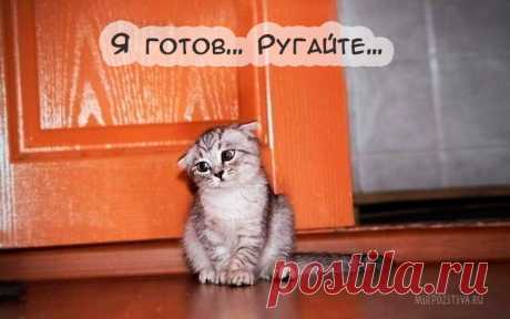 Смешные картинки