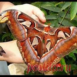 Интересные новости