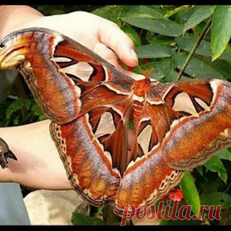 Интересные новости