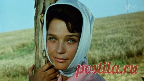 Стряпуха [1965, лирическая комедия, HDTVRip] Светлана Светличная, Людмила Хитяева, Инна Чурикова, Константин Сорокин, Георгий Юматов, Владимир Высоцкий, Иван Савкин