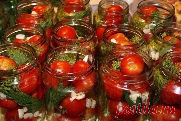 10 рецептов консервирования помидоров