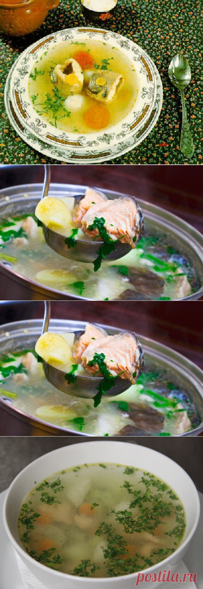 Как варить уху из голов 🚩 Как приготовить уху из карпа 🚩 Кулинарные рецептые