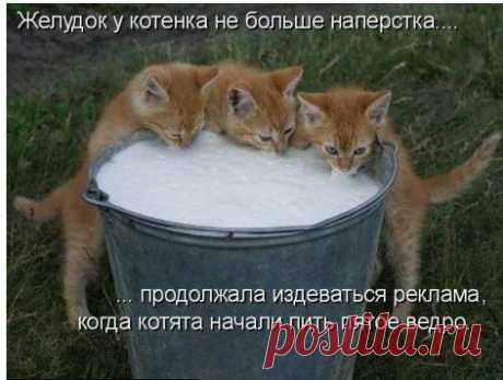 Интересные новости