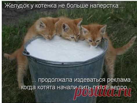 Интересные новости