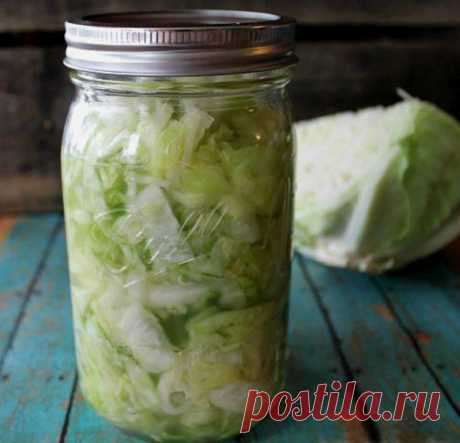 Квашеная капуста – простые рецепты | Статьи (Огород.ru)