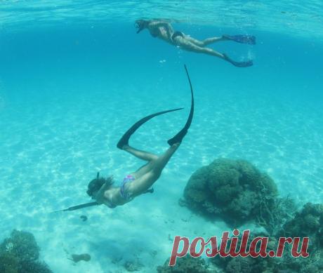 Архивы Декабрь 2012 - 2/3 - Seaidea Подводная охота