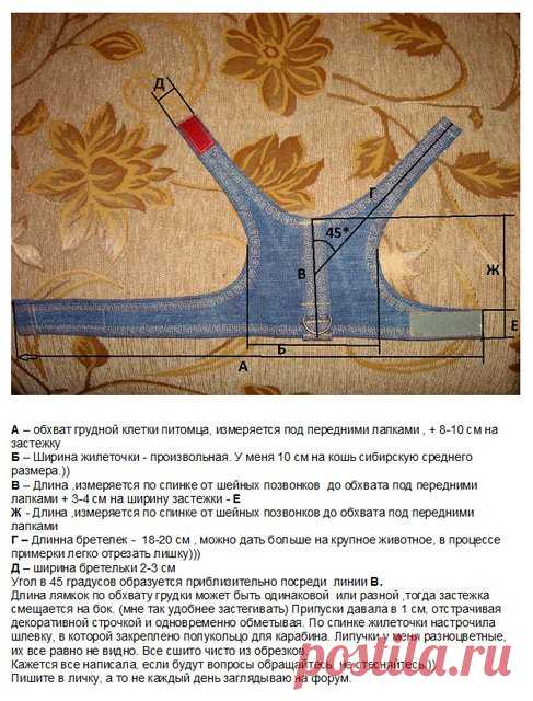 Шлейка для кота своими руками выкройки