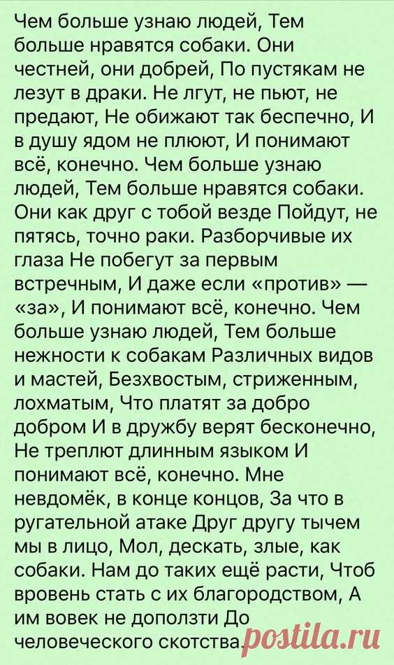 (424) Pinterest