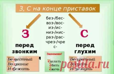 "Бессмысленно" спорить о том, как пишется слово "безвкусный" | Мария Ивановна | Яндекс Дзен