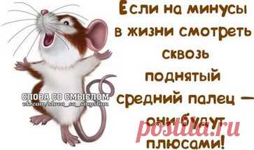 картинки позитива для поднятия настроения: 17 тыс изображений найдено в Яндекс.Картинках