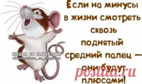 картинки позитива для поднятия настроения: 17 тыс изображений найдено в Яндекс.Картинках