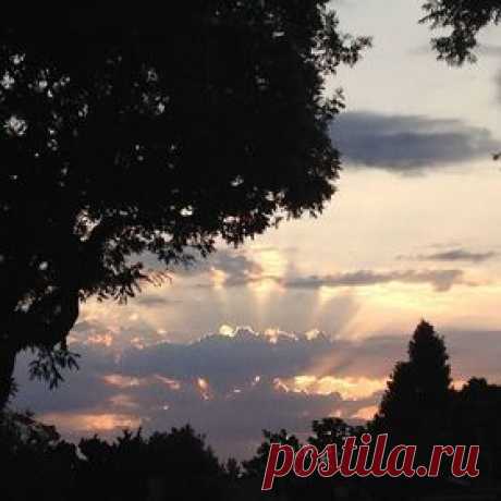 Фотограф Катя Ш. - Фото и фотограф на Расфокусе.