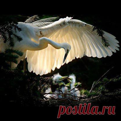 Интересные новости