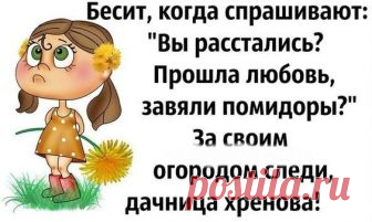Картинки с юмором: прикольные надписи и фразы | В темпі життя